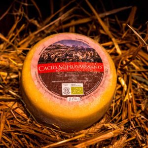 formaggio sopravvissano azienda agricola scolastici