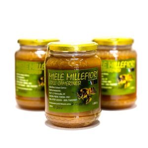 miele millefiori colli camerinesi 1000g