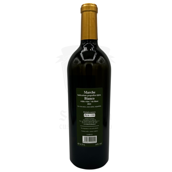 Vino Bianco delle Marche - Sangiovese e Merlot -1,618 Bianco - Fattoria Calmode delle Marche - immagine 2