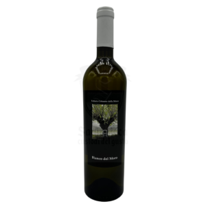 Vino bianco 100% sangiovese vinifica in bianco gusto fiorito e fruttato