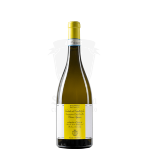 Verdicchio dei Castelli di Jesy, Vino bianco delle Marche
