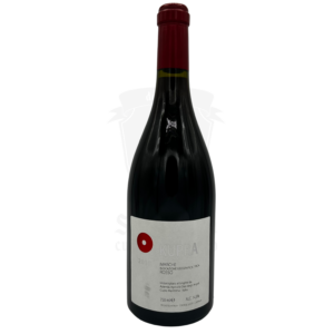 vino rosso delle marche uve bordo alta qualità