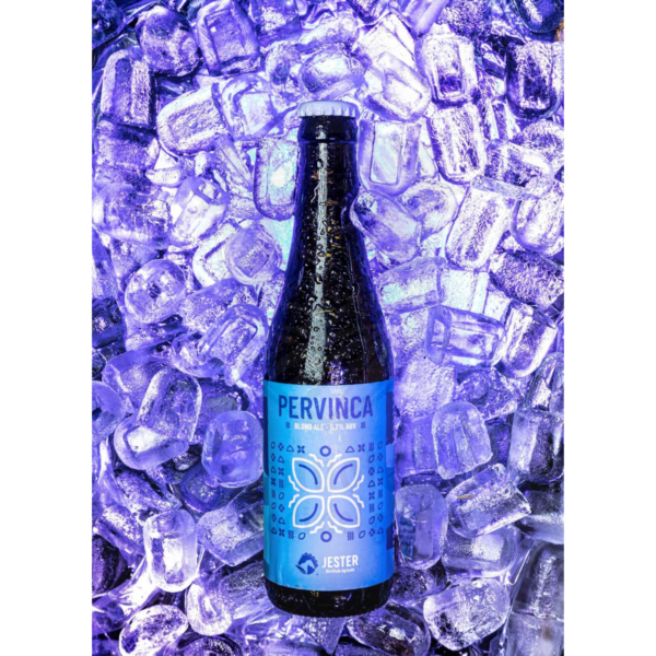 Bottiglia Birra Pervinca – Blonde Ale artigianale del Birrificio Jester – in ghiaccio